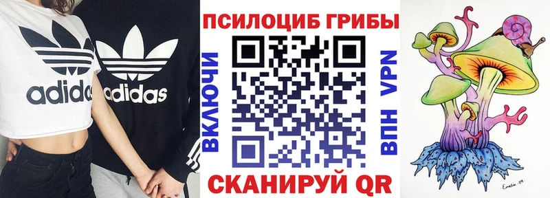 наркотики  Саратов  Галлюциногенные грибы мухоморы 